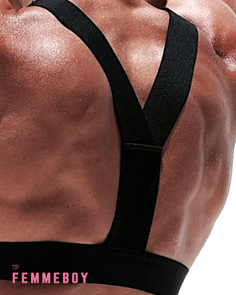 Shoulder Straps Chest Harness